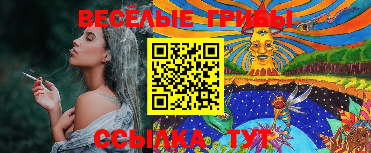Псилоцибиновые грибы мицелий Звенигород